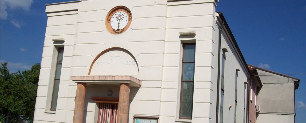 
            Фотография Фелоникы