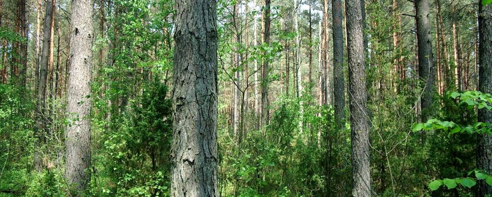 
            Фотография Терасполя