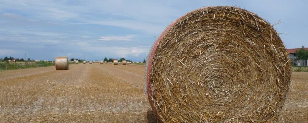 
            Фотография Эраклеа Маре