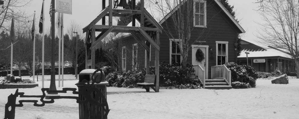 
            Фотография Баселла