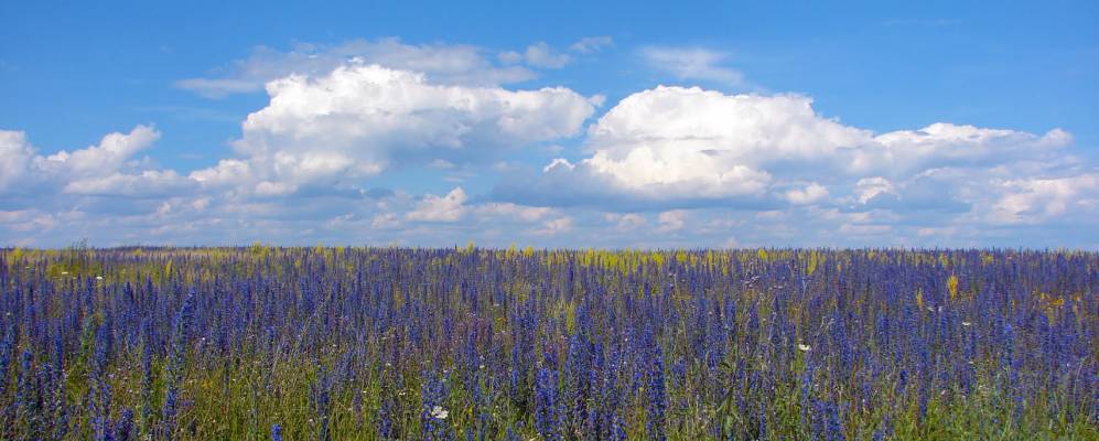 Фотография Марьино