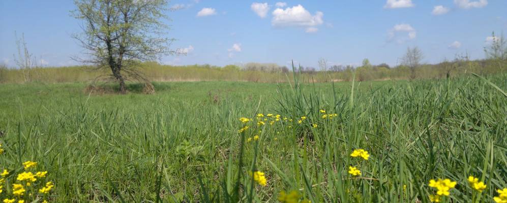 
            Фотография Терского