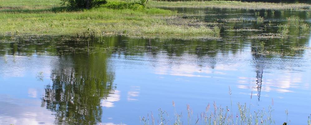 
            Фотография Труженика