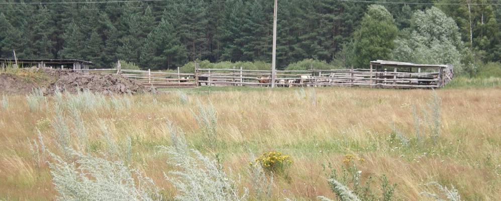 
            Фотография Дмитриевки