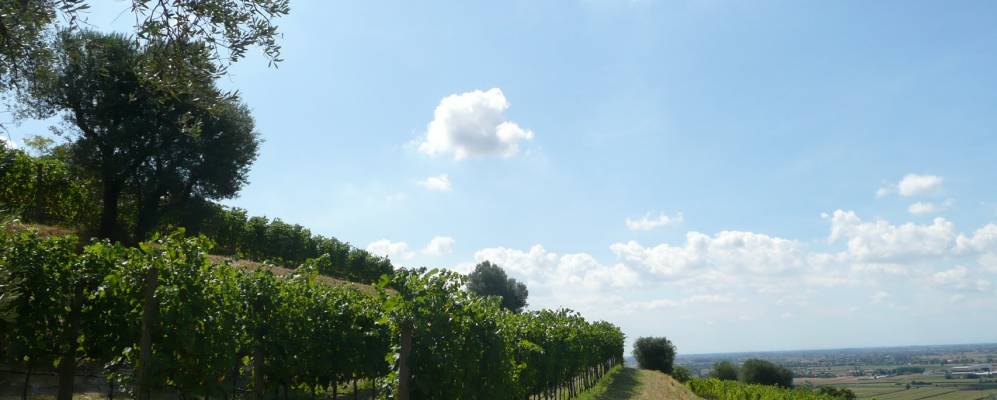 
            Фотография Баоне