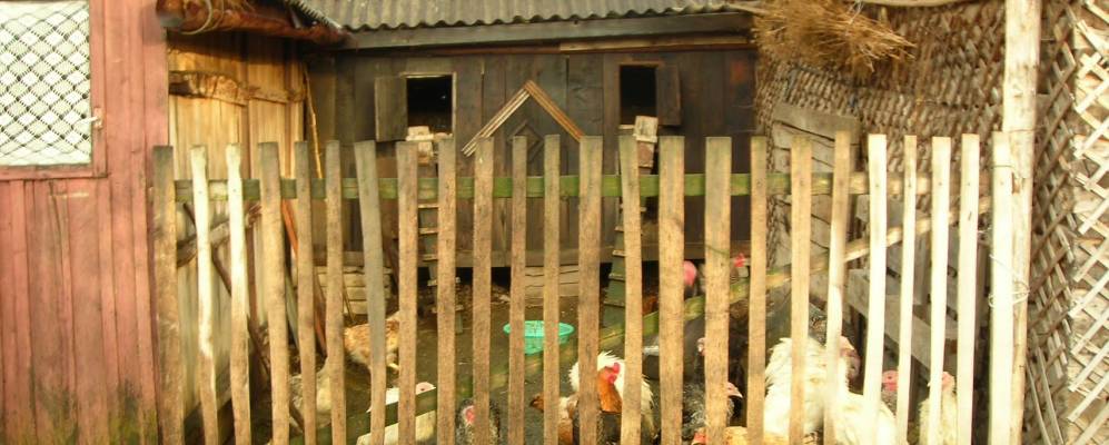 
            Фотография Тыргу-Лэпуша