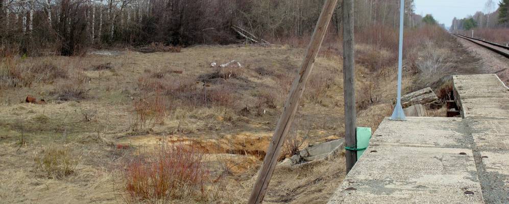 
            Фотография Шепелево