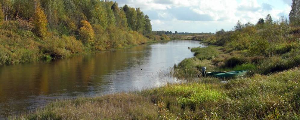 
            Фотография Шартаново