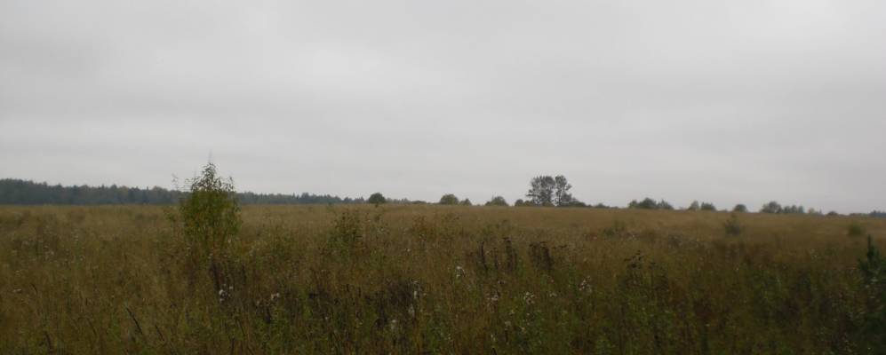 
            Фотография Корбы