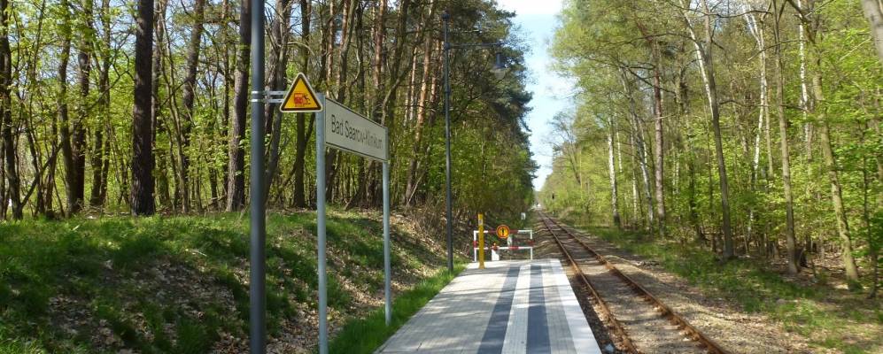 
            Фотография Бад Саарова