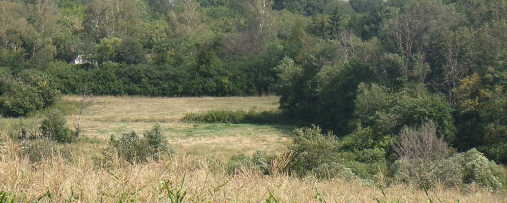 Фотография Дурнево