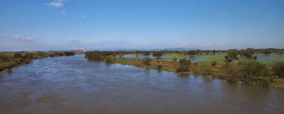 
            Фотография Коги