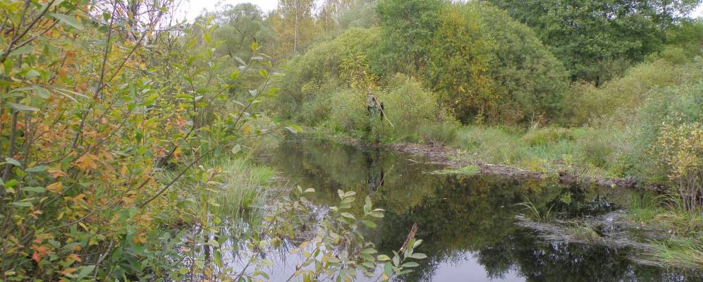 
            Фотография Мосейково