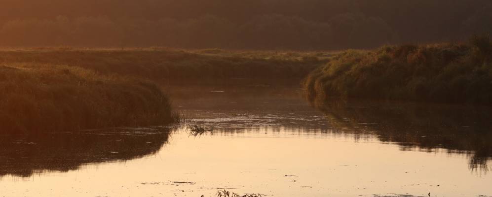 
            Фотография деревни Лазаревичи