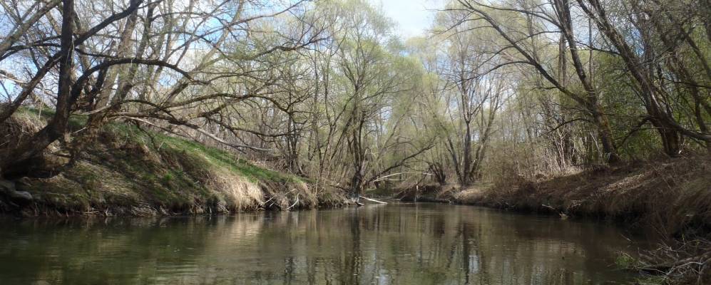 Фотография Сосновки