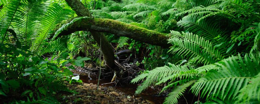 Фотография Яхново