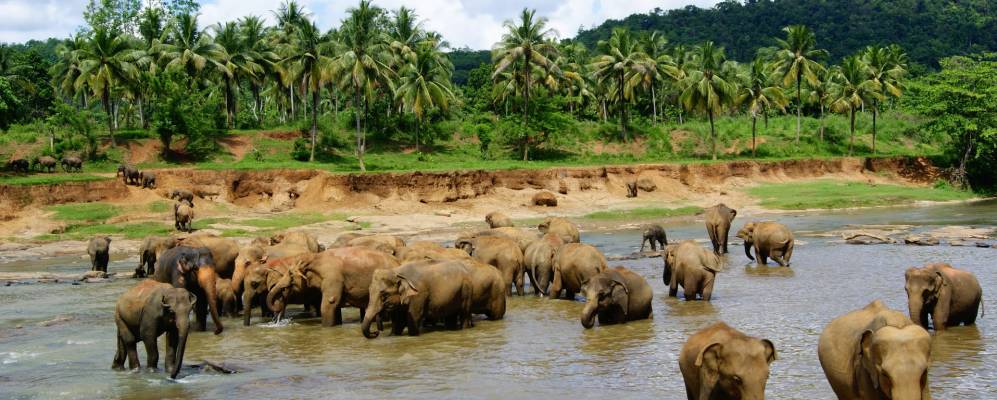 Фотография Пиннавелы