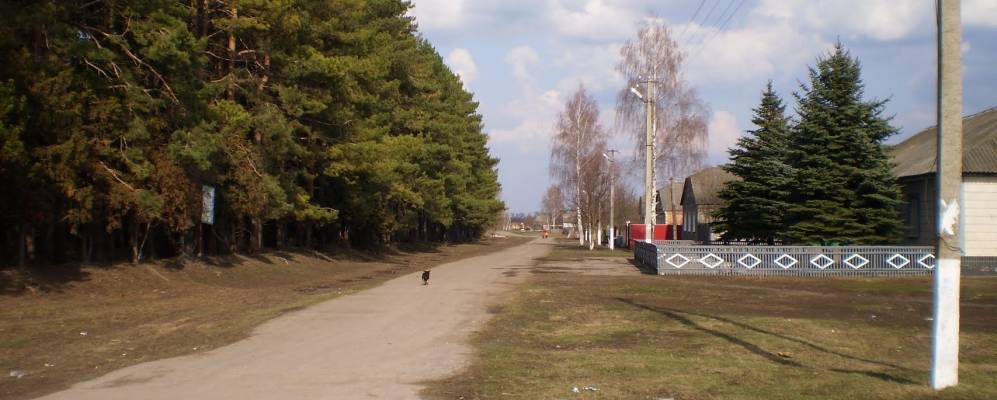 
            Фотография Воронино