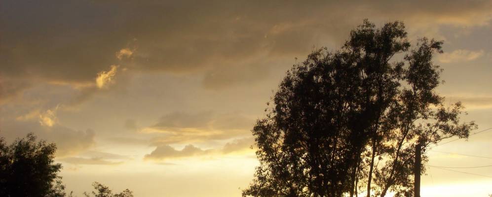 
            Фотография Воронова