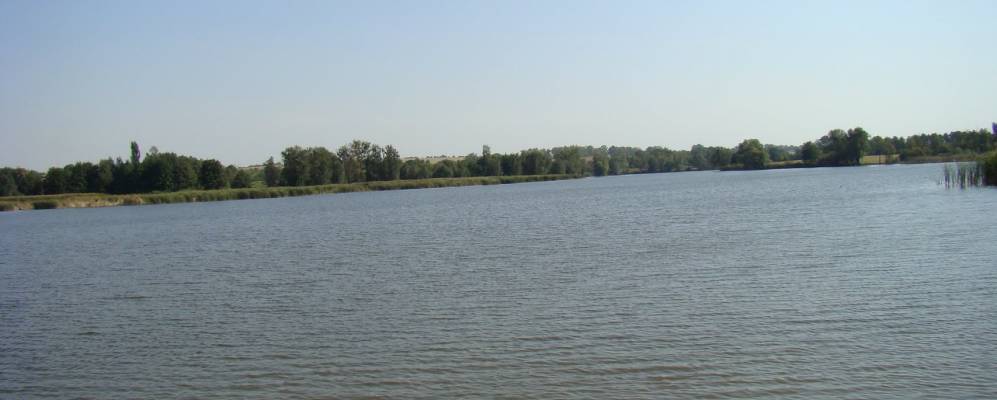 
            Фотография Черепинки