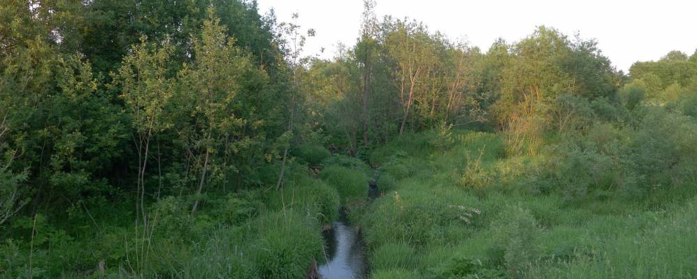
            Фотография деревни Збаровичи