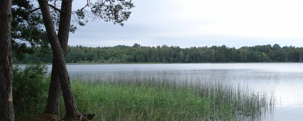 
            Фотография Старой Середки