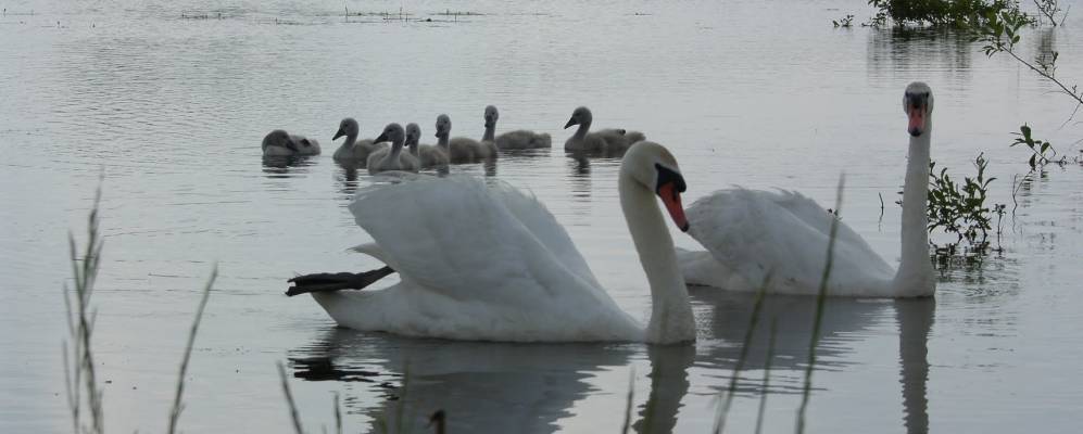 
            Фотография Ильюшино