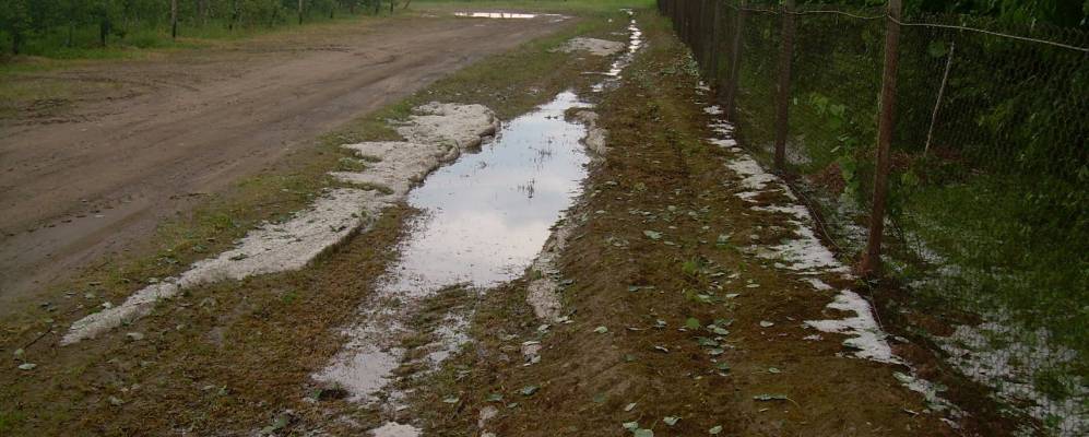 Фотография Быстрика