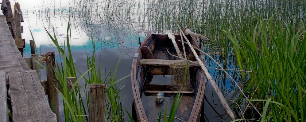 
            Фотография Гуты