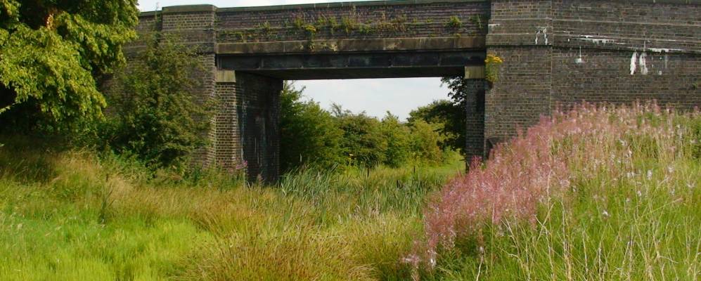 
            Фотография Абрама