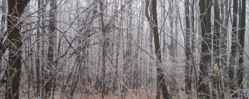 
            Фотография Русского Кандыза