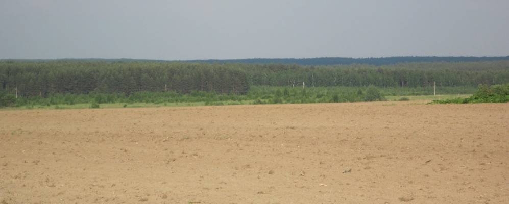 
            Фотография Афанасьево