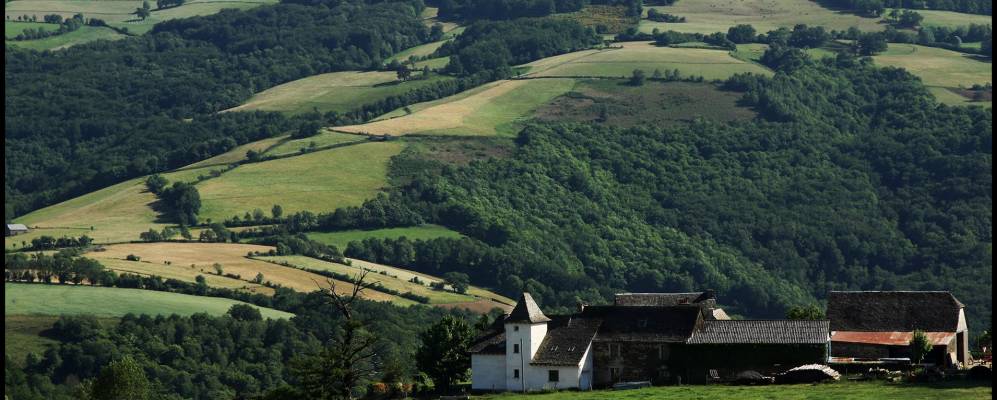 Фотография Мандай