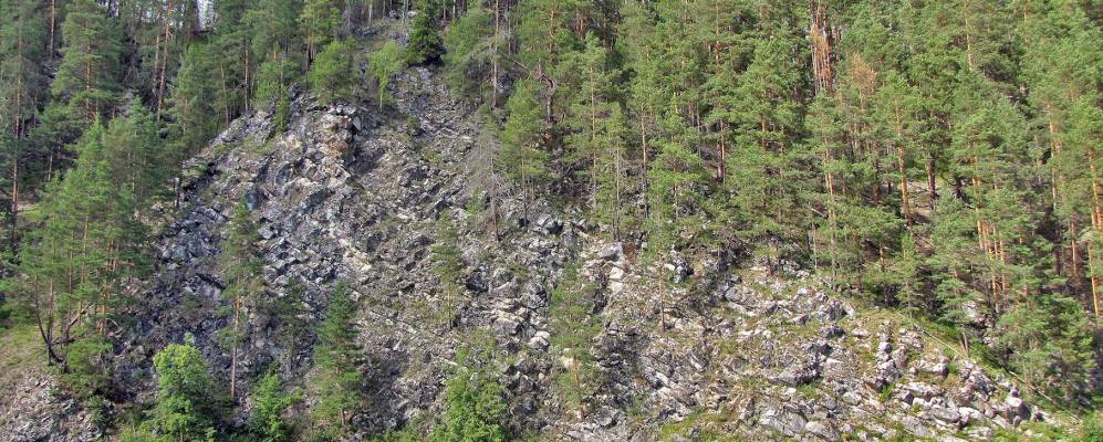 
            Фотография Кошкина