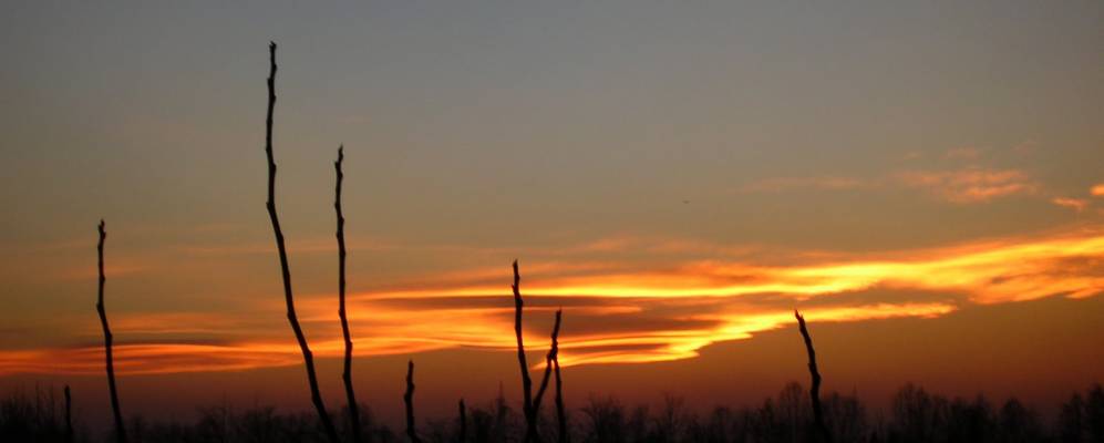 
            Фотография Боргозатоло