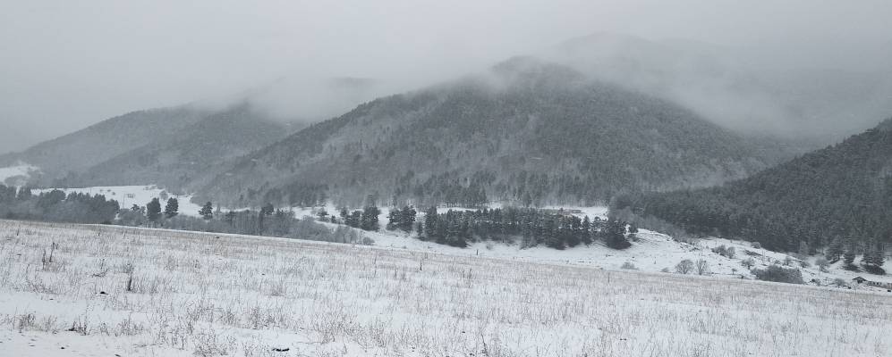 
            Фотография Кумыша