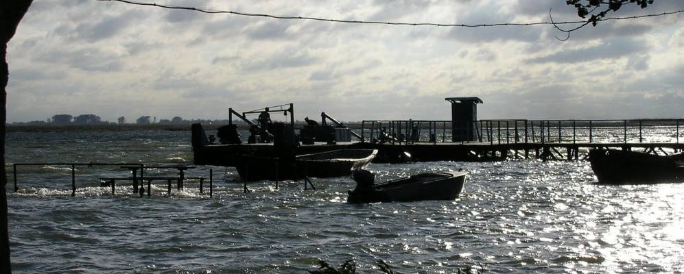 
            Фотография Дугино