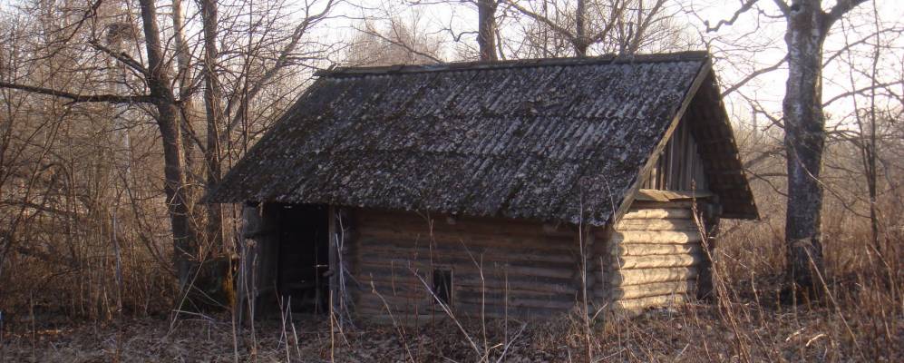 Фотография деревни Пашки