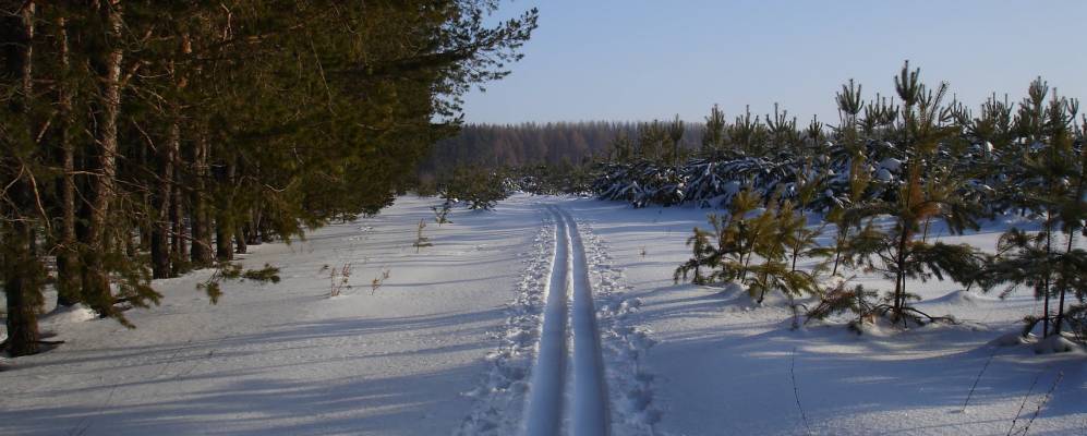 Фотография Ирдеменево-Кошек