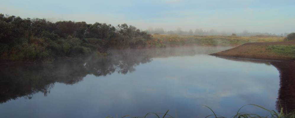 
            Фотография Лелявино