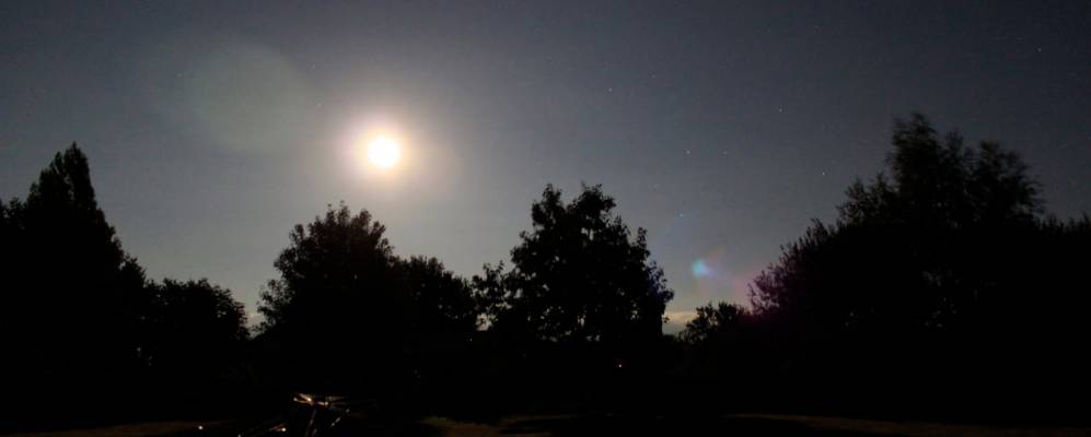 
            Фотография Васля