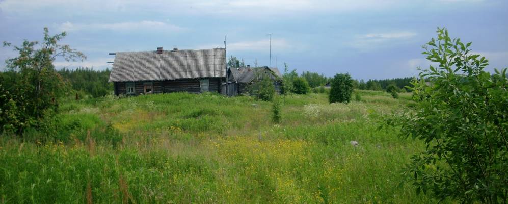 
            Фотография Моши