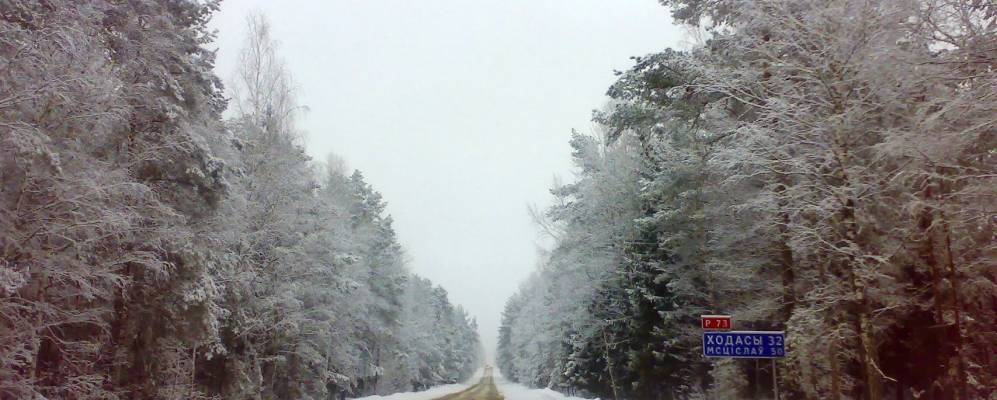 
            Фотография Дранухи