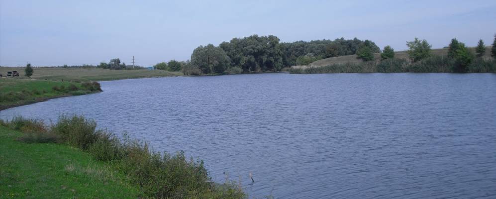 
            Фотография Бурбина