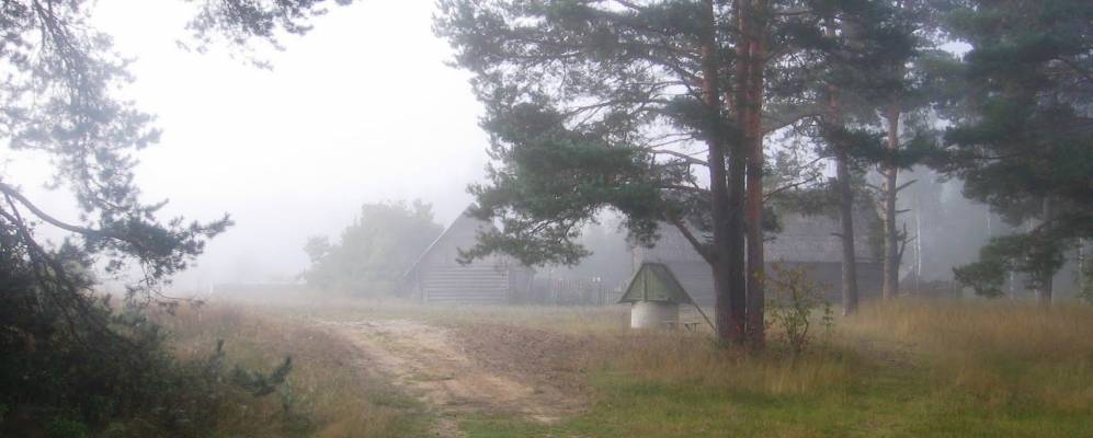 
            Фотография Лосей