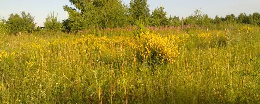 Фотография деревни Залютичи
