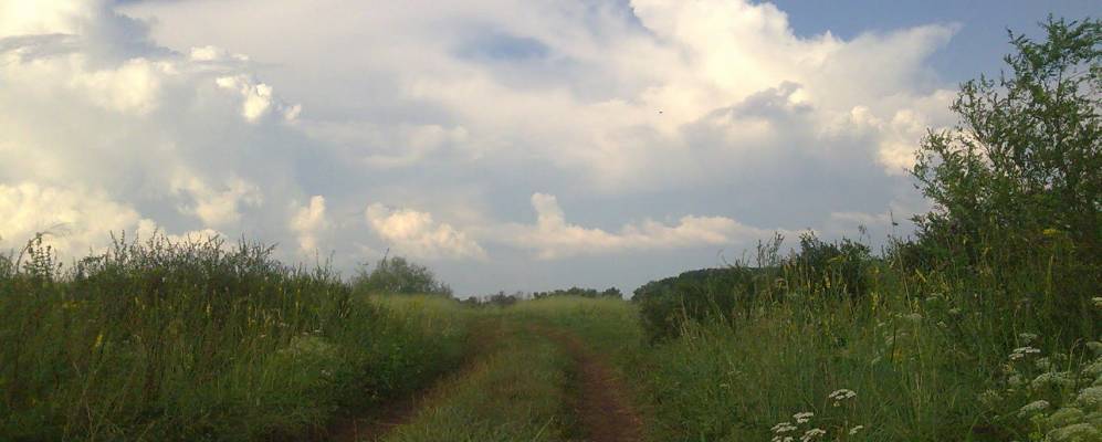 
            Фотография Новоалексеевки