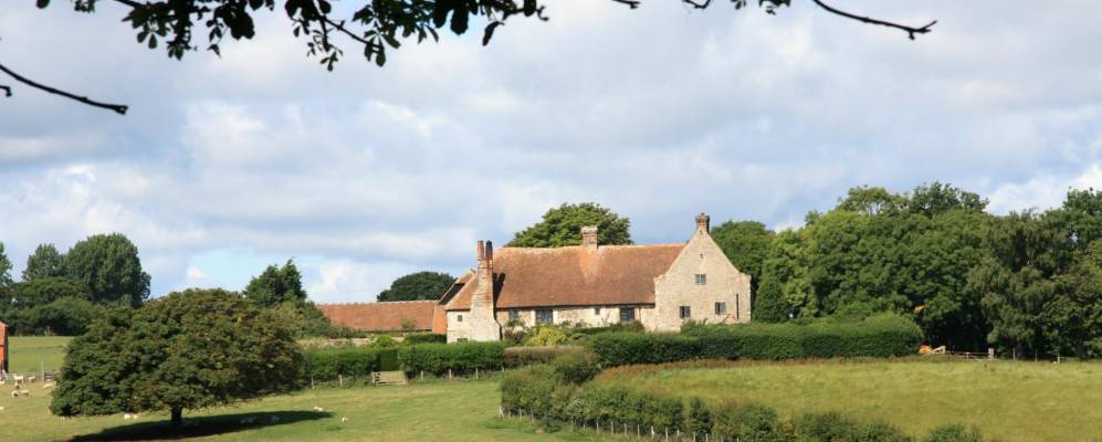 
            Фотография Уинчелси 