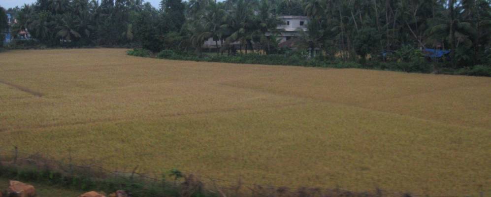 
            Фотография Байндуру