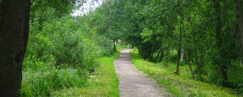 
            Фотография деревни Большие Пороги